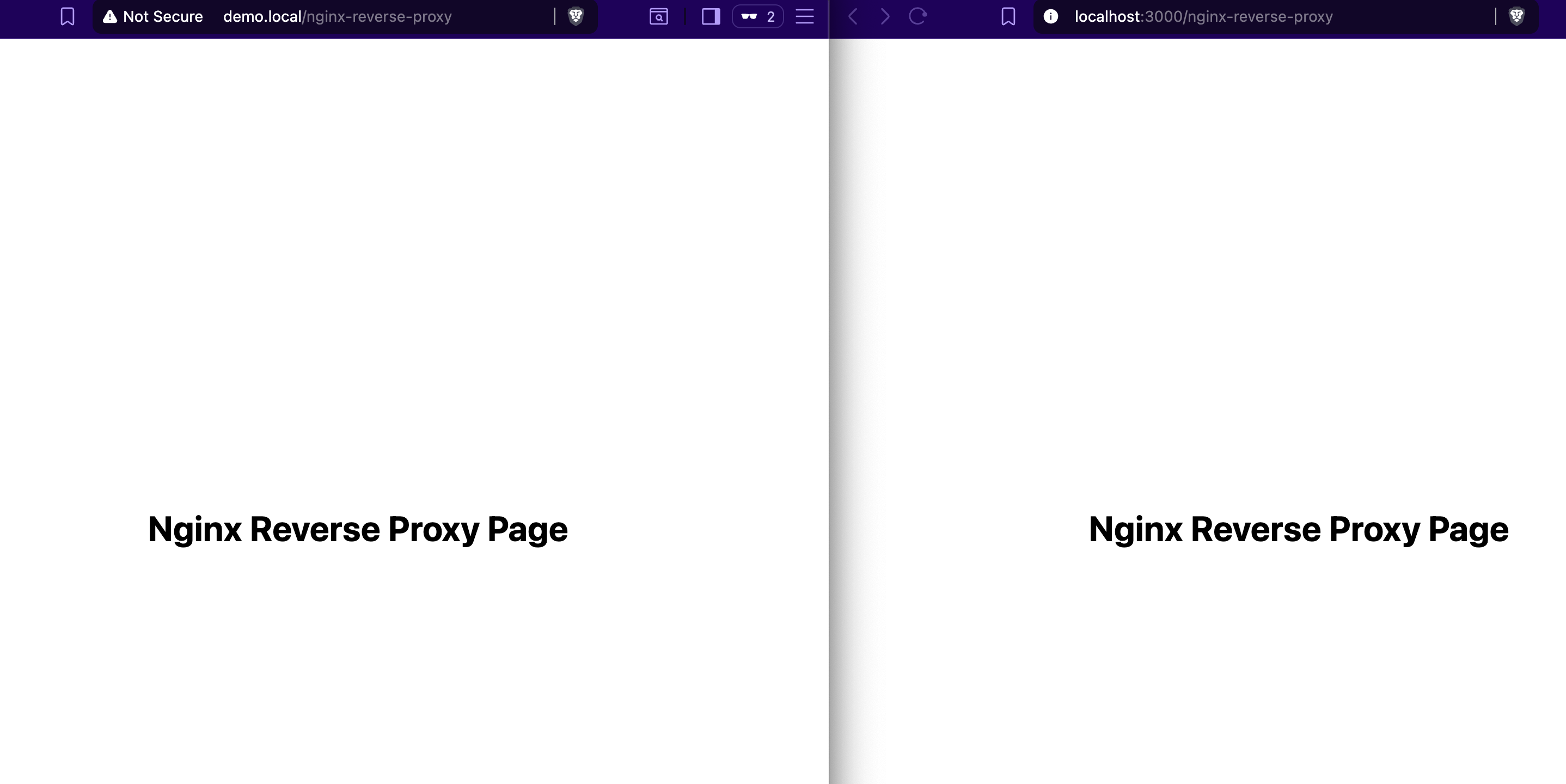Nginx reverse proxy